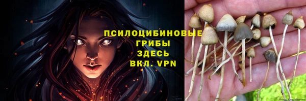 первитин Богородицк