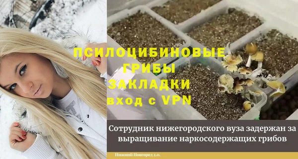 COCAINE Богданович