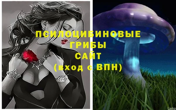 COCAINE Богданович