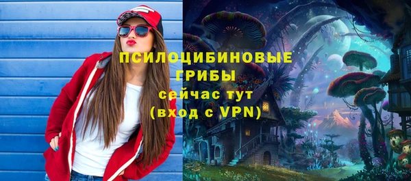 первитин Богородицк