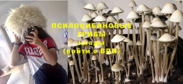 первитин Богородицк